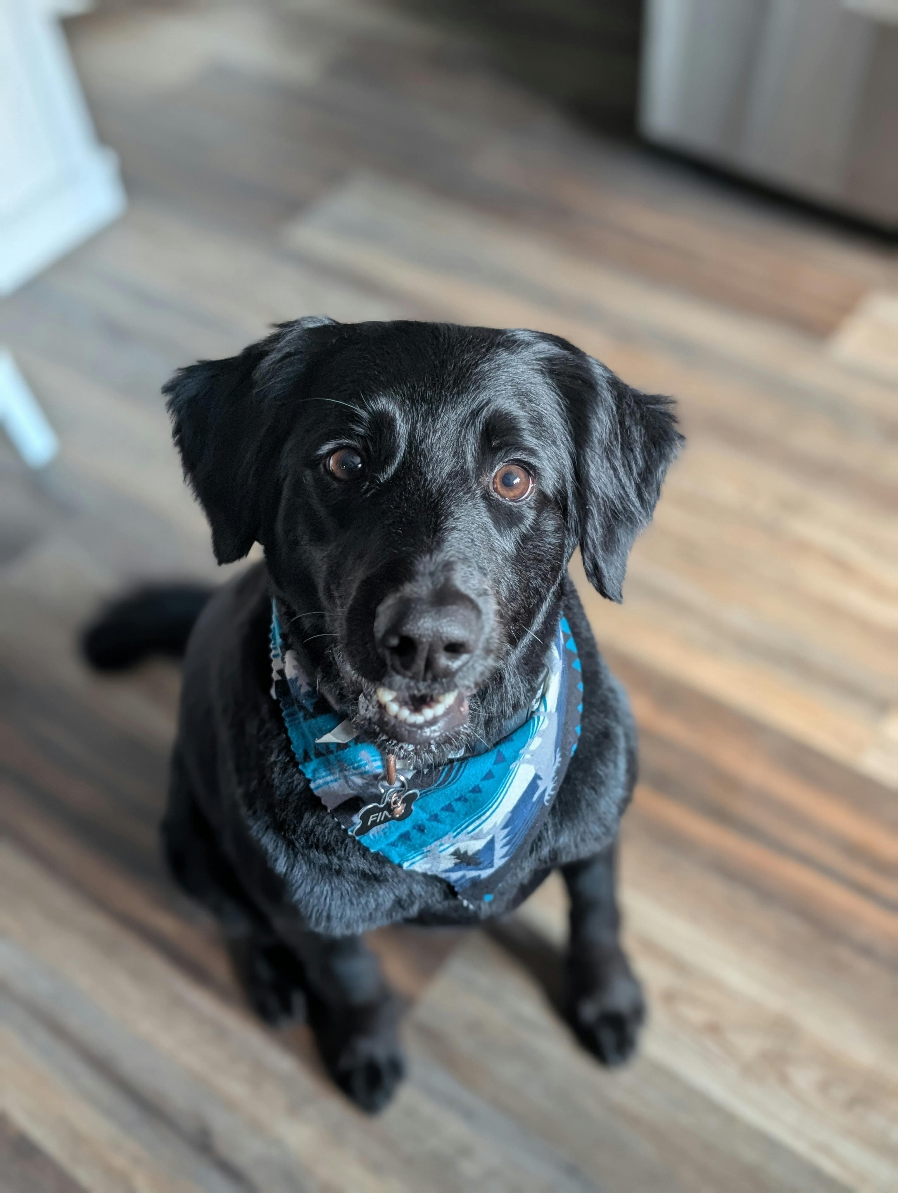 Post-groom finish and perfume